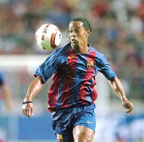 正是借鉴了 正是借鉴了